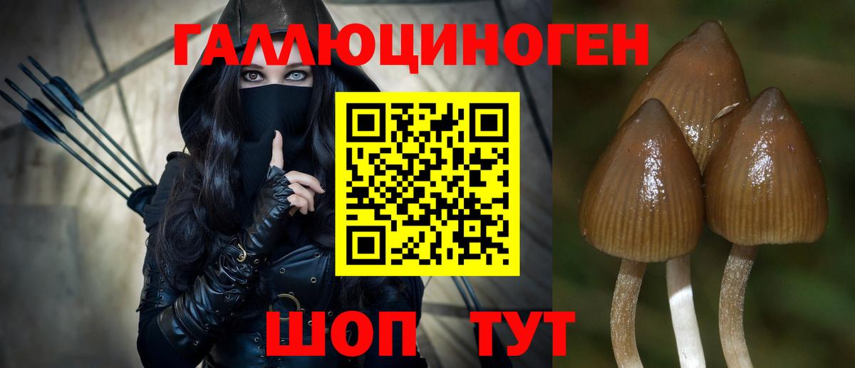 где можно купить наркотик  Вход с VPN  Ревда  Галлюциногенные грибы прущие грибы  Галлюциногенные грибы мицелий 